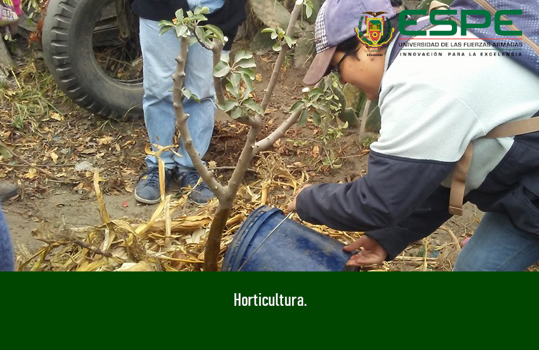 Horticultura_IASA
